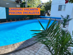 Vila Fifi Costinesti